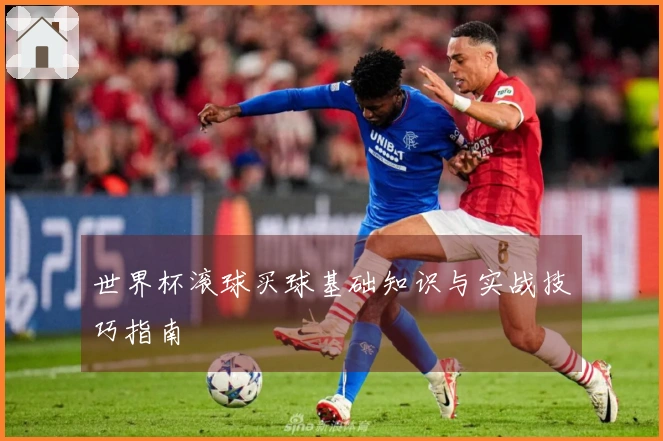 世界杯滚球买球基础知识与实战技巧指南