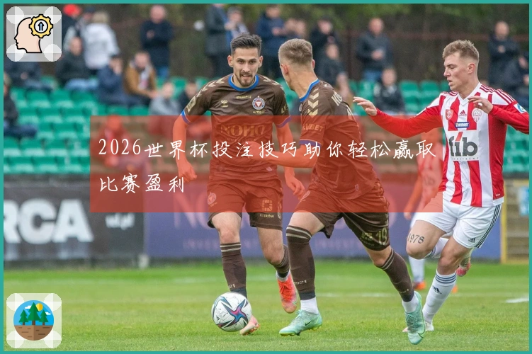 2026世界杯投注技巧助你轻松赢取比赛盈利