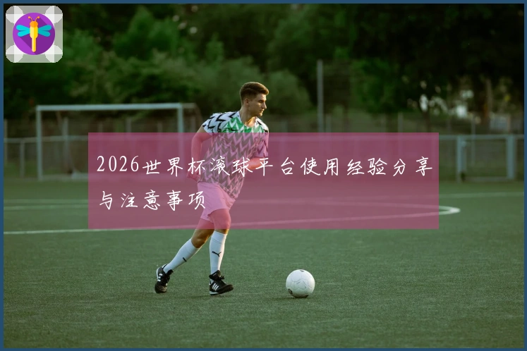 2026世界杯滚球平台使用经验分享与注意事项